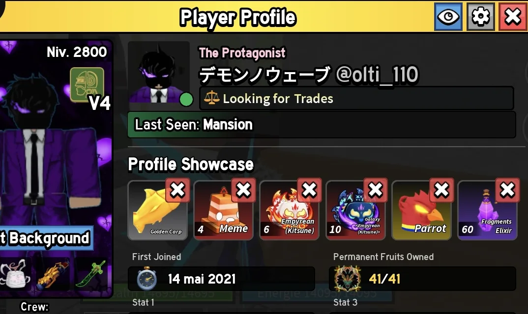 Player Profile de Nebu