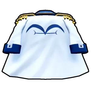 The Coat, an example of an accessory obtained as a boss drop