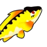 Amber Trout Fish - Blox Fruits