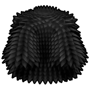 Black Spikey Coat Accessory - Blox Fruits