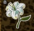 Cactus Petal Item - Blox Fruits