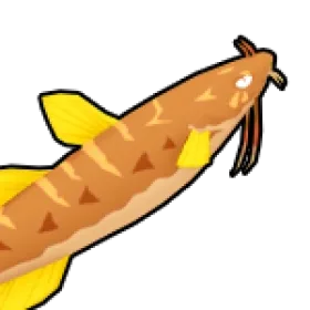 Catfish Fish - Blox Fruits