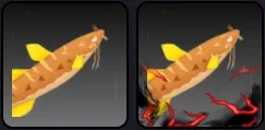 A Corrupted Catfish compared to a normal fish.