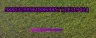 Damage Counter Mechanic - Blox Fruits