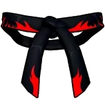 Dojo Belt (Black) Accessory - Blox Fruits