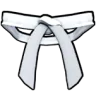 Dojo Belt (White) Accessory - Blox Fruits
