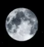 Full Moon Mechanic - Blox Fruits
