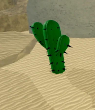 The cacti to harvest in the Desert