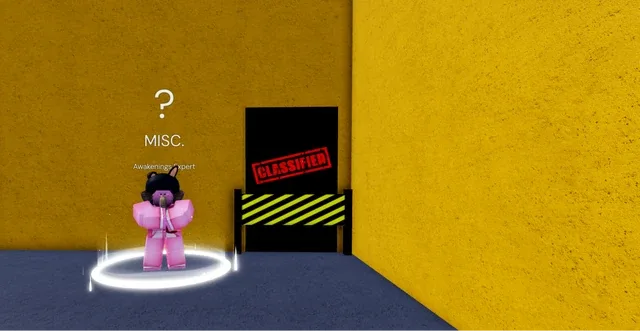 The CLASSIFIED area sealing the room, next to the Awakenings Expert.
