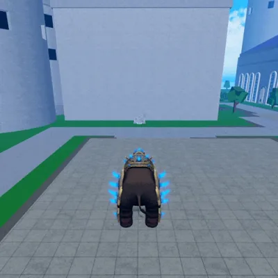 Preview of Transformation