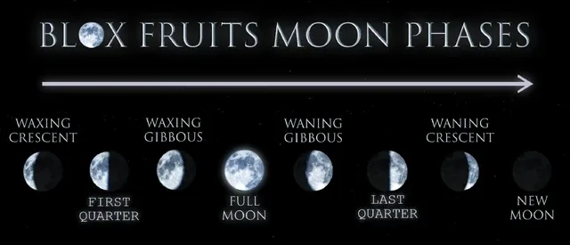 All eight moon phases, in cycle order.
