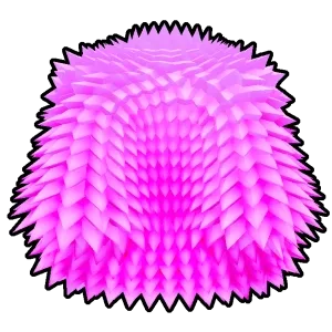 Pink Coat Accessory - Blox Fruits