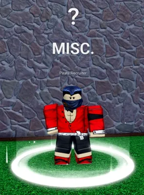 Pirate Recruiter NPC - Blox Fruits