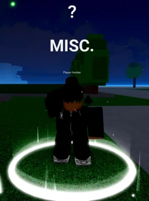 Player Hunter NPC - Blox Fruits