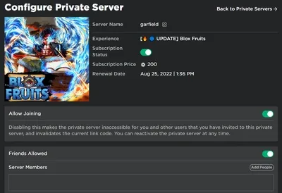 Private Servers Mechanic - Blox Fruits
