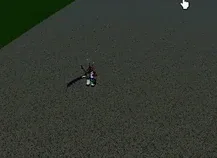 Preview of Execution