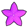 Starfish (Purple) Fish - Blox Fruits