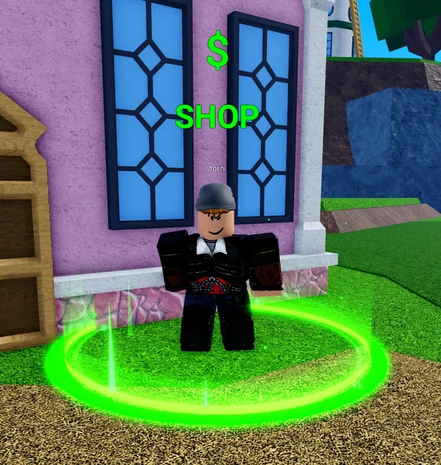 Yoshi in front of his pink house, on the fourth Skylands island.